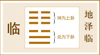 地澤臨卦|《易經》第十九卦 臨卦詳解 地澤臨 坤上兌下